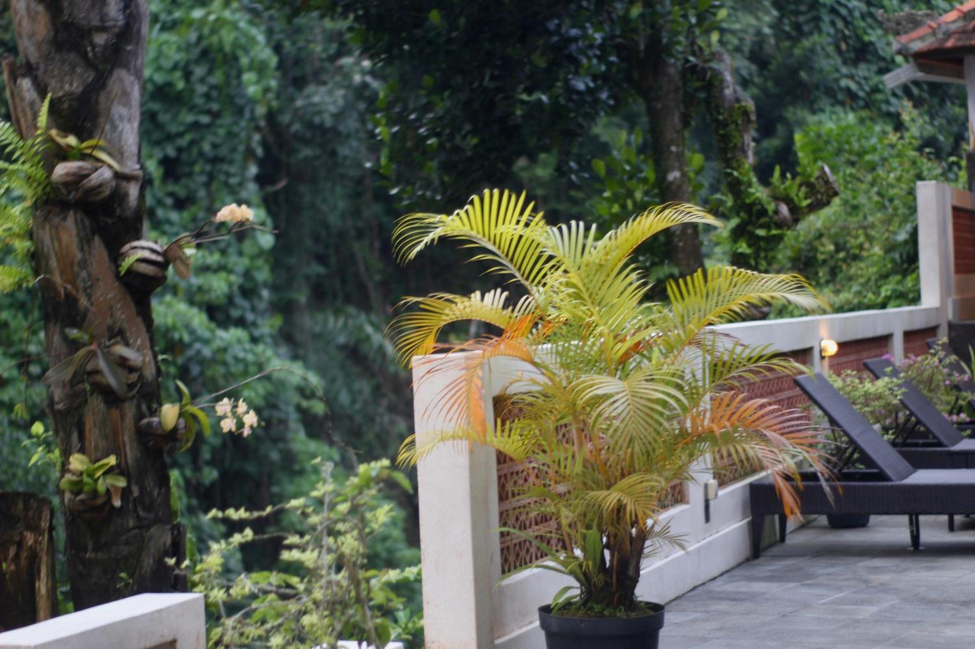 Hanaka Riverside Ubud Exterior photo