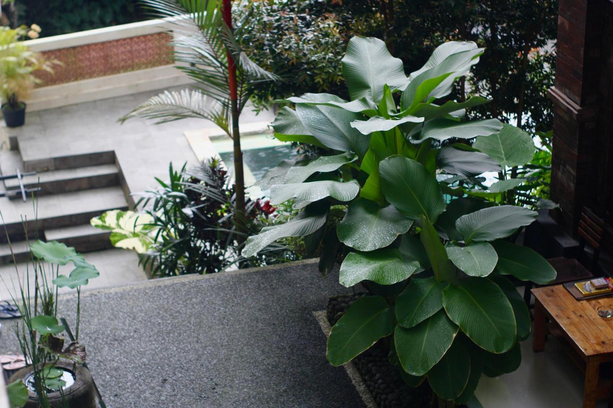 Hanaka Riverside Ubud Exterior photo