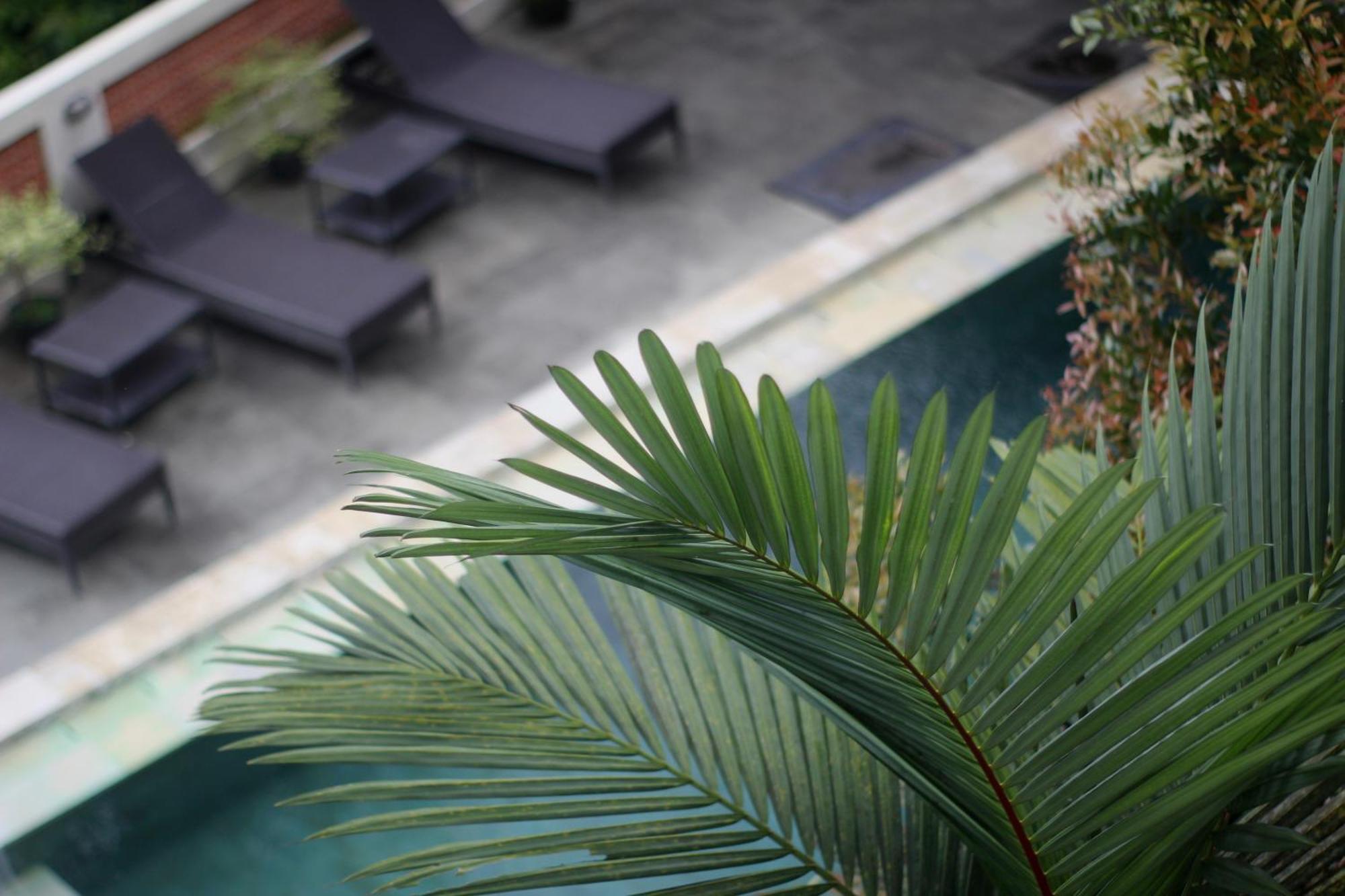Hanaka Riverside Ubud Exterior photo